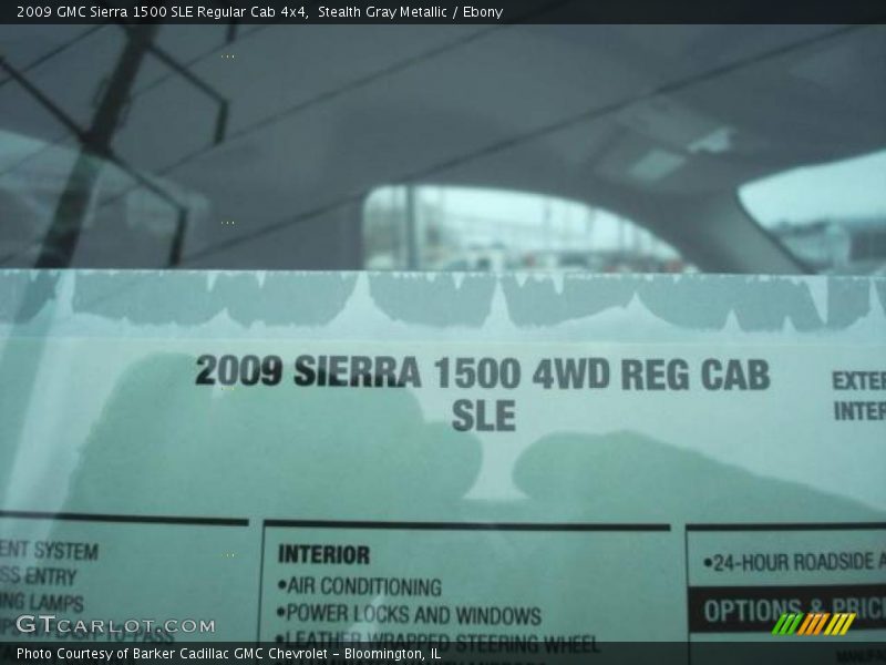 Stealth Gray Metallic / Ebony 2009 GMC Sierra 1500 SLE Regular Cab 4x4