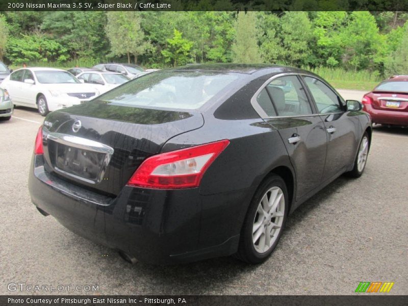Super Black / Caffe Latte 2009 Nissan Maxima 3.5 SV