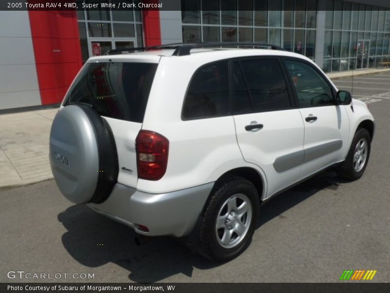 Super White / Dark Charcoal 2005 Toyota RAV4 4WD