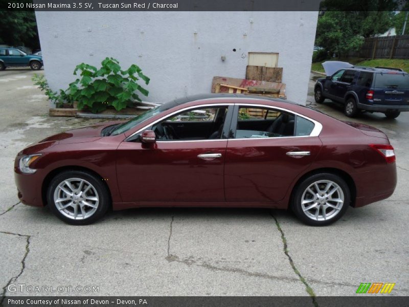 Tuscan Sun Red / Charcoal 2010 Nissan Maxima 3.5 SV