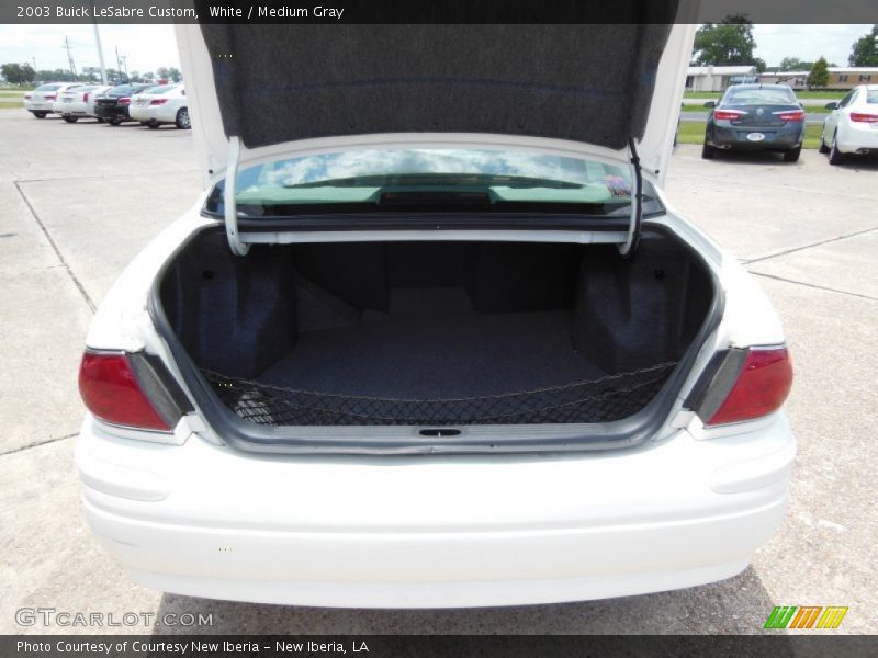 White / Medium Gray 2003 Buick LeSabre Custom
