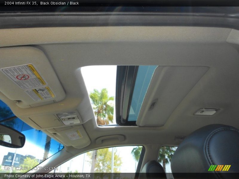 Black Obsidian / Black 2004 Infiniti FX 35