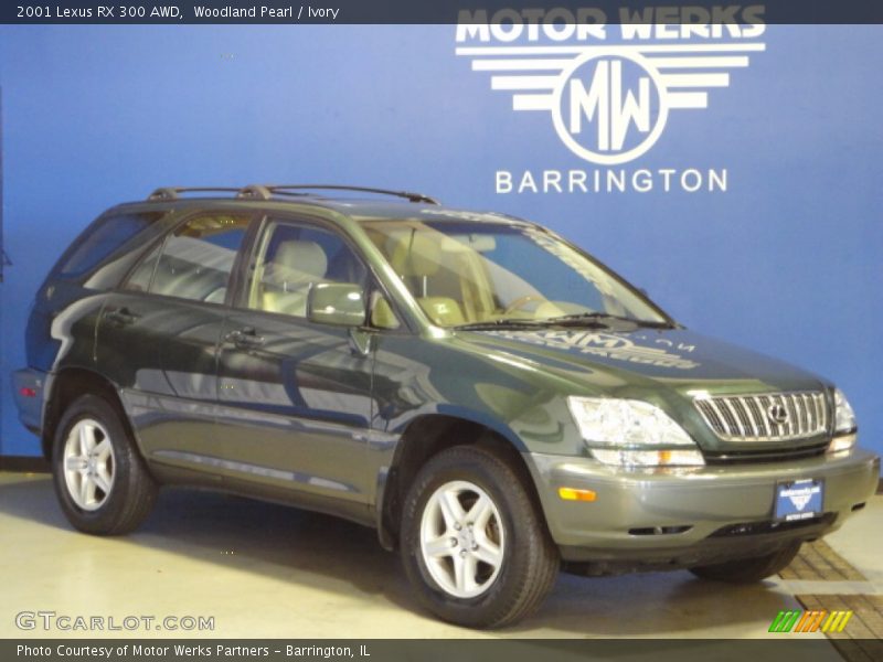 Woodland Pearl / Ivory 2001 Lexus RX 300 AWD