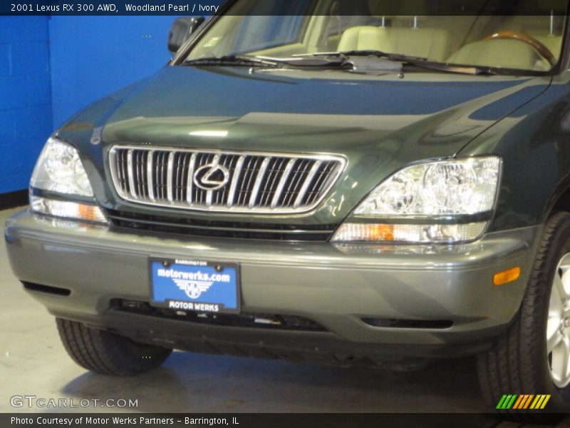 Woodland Pearl / Ivory 2001 Lexus RX 300 AWD