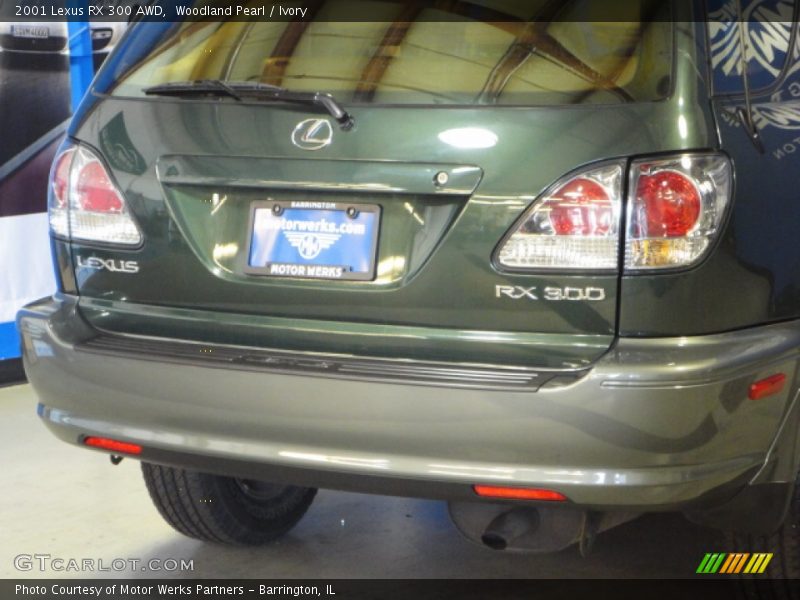 Woodland Pearl / Ivory 2001 Lexus RX 300 AWD