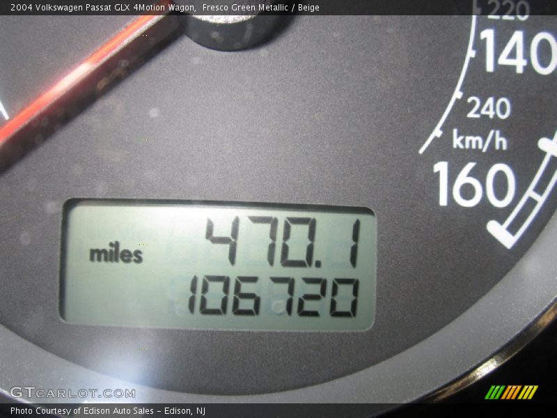 Fresco Green Metallic / Beige 2004 Volkswagen Passat GLX 4Motion Wagon