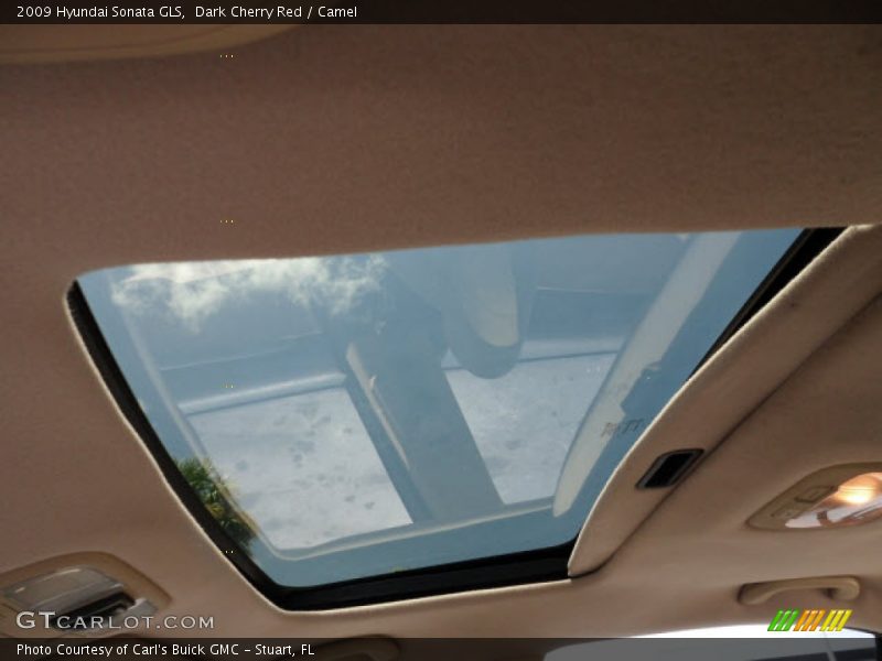 Dark Cherry Red / Camel 2009 Hyundai Sonata GLS