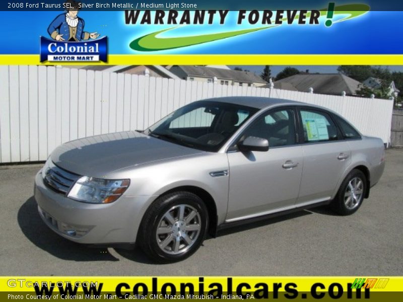 Silver Birch Metallic / Medium Light Stone 2008 Ford Taurus SEL