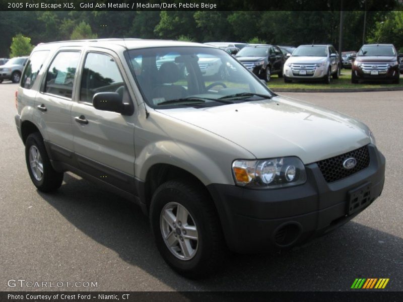 Gold Ash Metallic / Medium/Dark Pebble Beige 2005 Ford Escape XLS