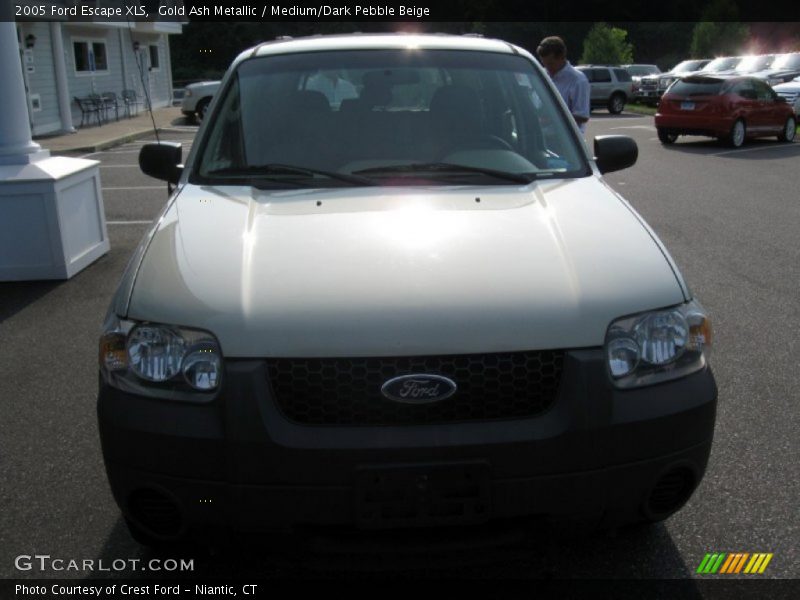 Gold Ash Metallic / Medium/Dark Pebble Beige 2005 Ford Escape XLS