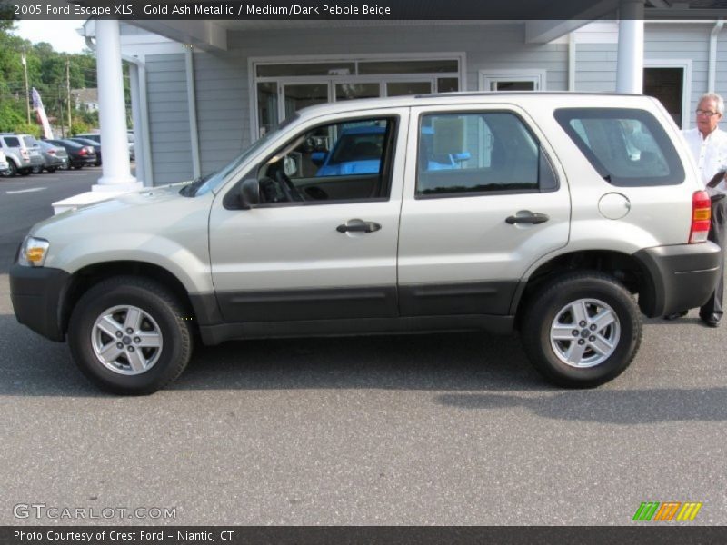 Gold Ash Metallic / Medium/Dark Pebble Beige 2005 Ford Escape XLS