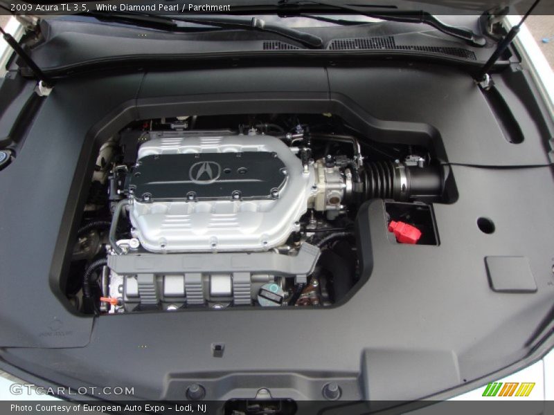 White Diamond Pearl / Parchment 2009 Acura TL 3.5
