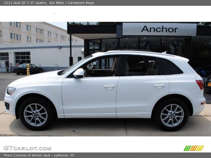 Ibis White / Cardamom Beige 2011 Audi Q5 2.0T quattro