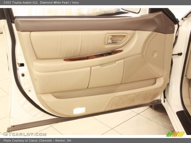 Door Panel of 2003 Avalon XLS