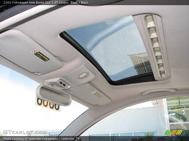 Black / Black 2001 Volkswagen New Beetle GLX 1.8T Coupe
