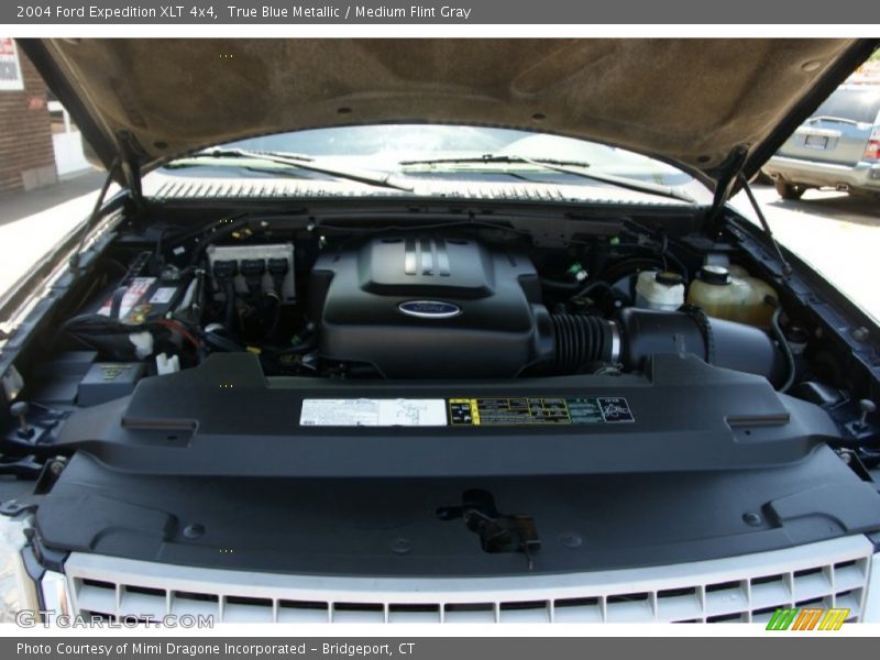 True Blue Metallic / Medium Flint Gray 2004 Ford Expedition XLT 4x4