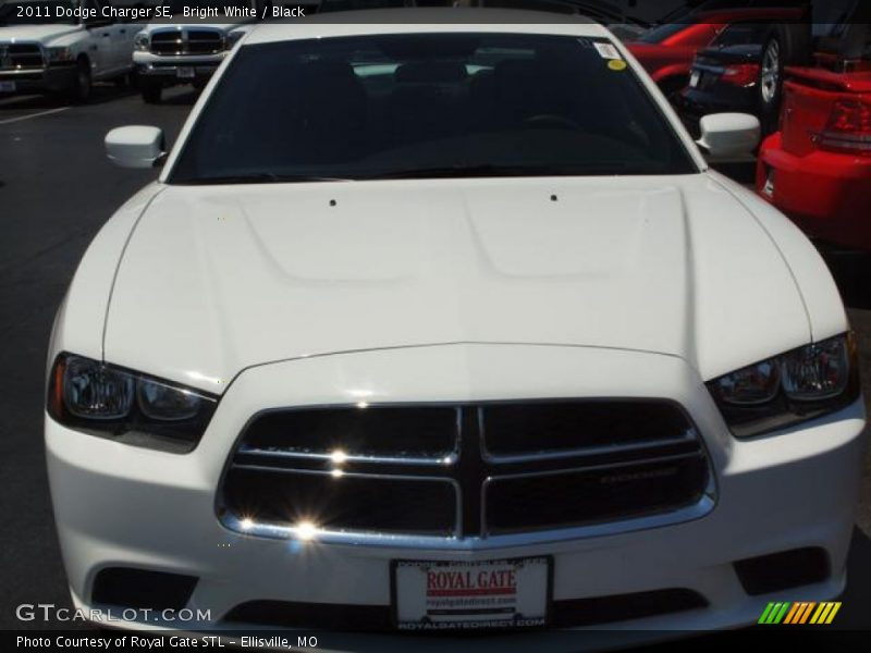 Bright White / Black 2011 Dodge Charger SE