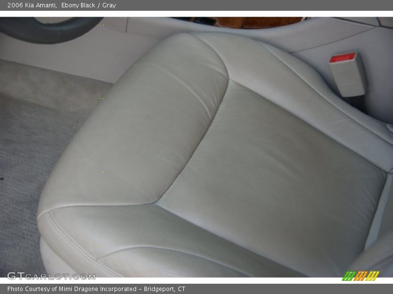 Ebony Black / Gray 2006 Kia Amanti