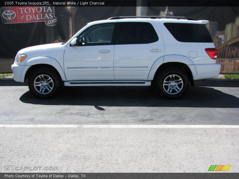 Natural White / Light Charcoal 2005 Toyota Sequoia SR5