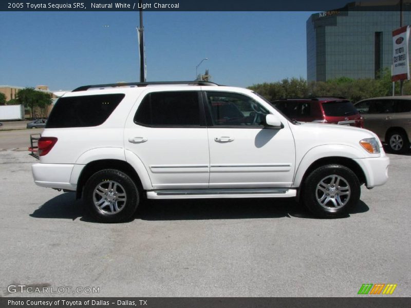 Natural White / Light Charcoal 2005 Toyota Sequoia SR5