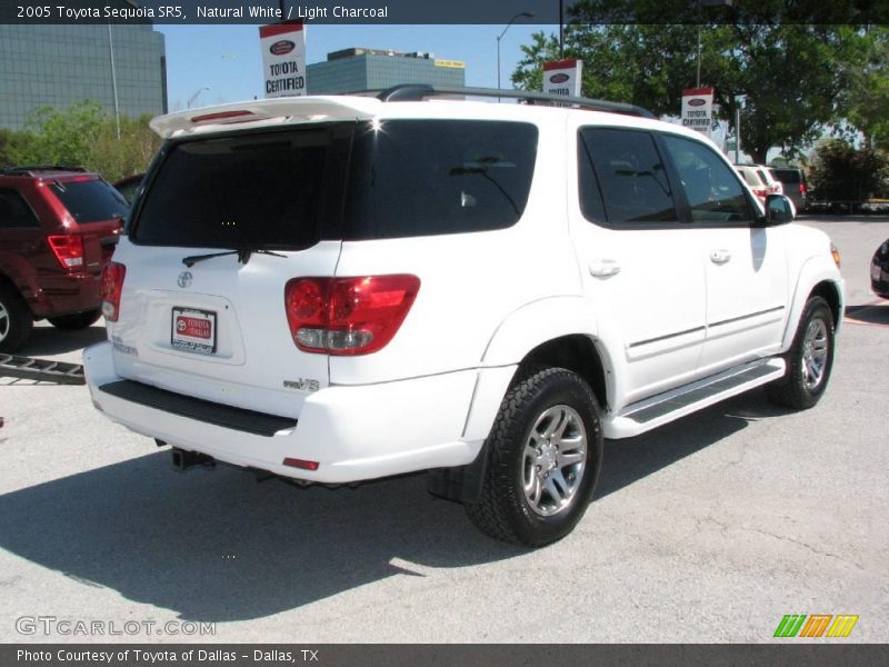 Natural White / Light Charcoal 2005 Toyota Sequoia SR5