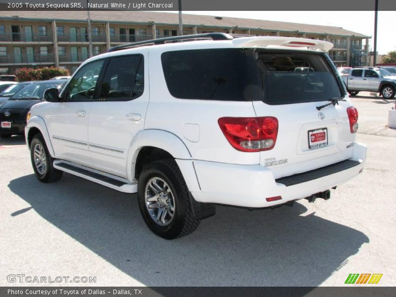 Natural White / Light Charcoal 2005 Toyota Sequoia SR5