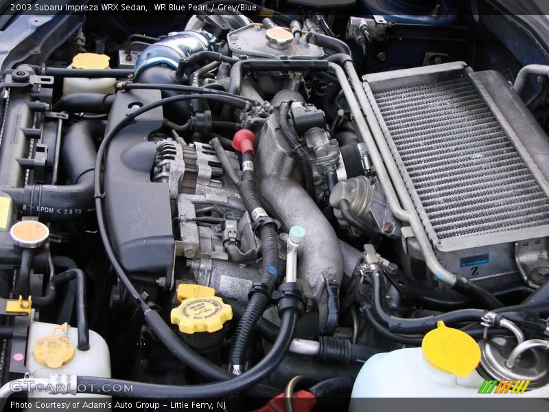 WR Blue Pearl / Grey/Blue 2003 Subaru Impreza WRX Sedan