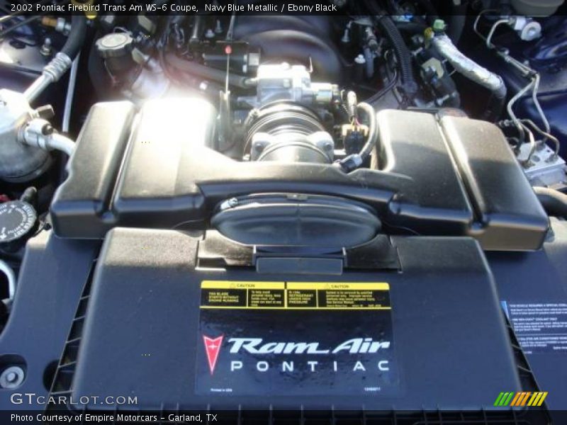 Navy Blue Metallic / Ebony Black 2002 Pontiac Firebird Trans Am WS-6 Coupe