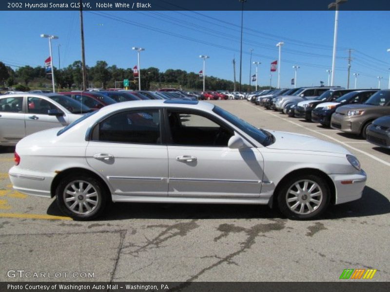 Noble White / Black 2002 Hyundai Sonata GLS V6