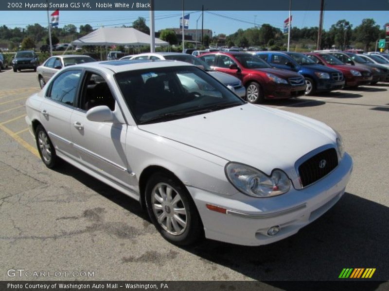 Noble White / Black 2002 Hyundai Sonata GLS V6