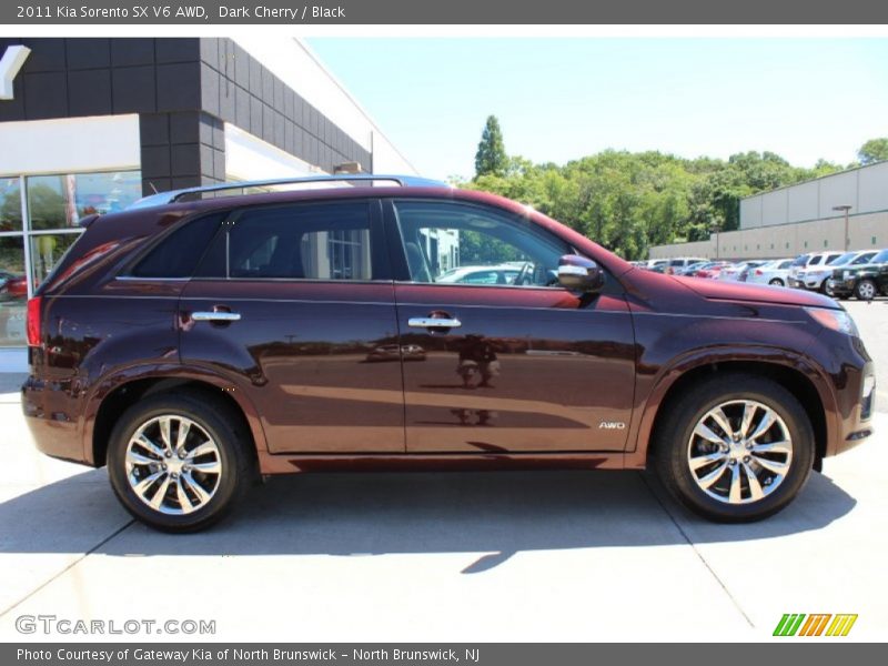 Dark Cherry / Black 2011 Kia Sorento SX V6 AWD