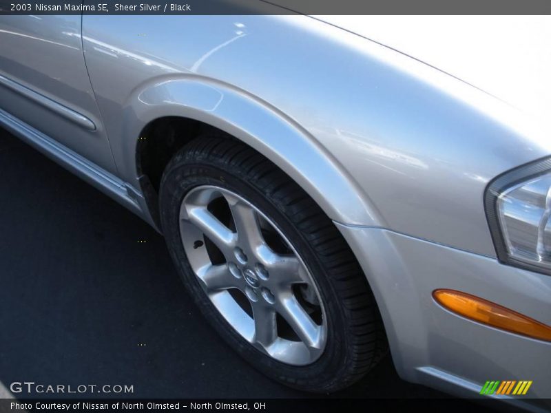 Sheer Silver / Black 2003 Nissan Maxima SE