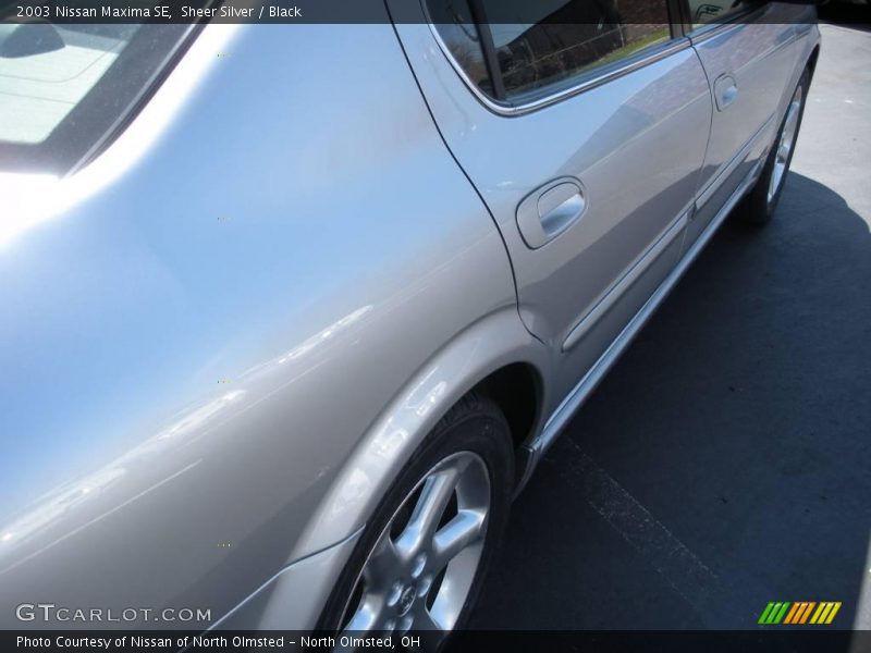 Sheer Silver / Black 2003 Nissan Maxima SE