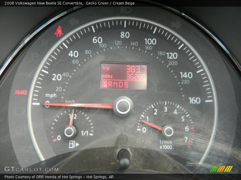Gecko Green / Cream Beige 2008 Volkswagen New Beetle SE Convertible