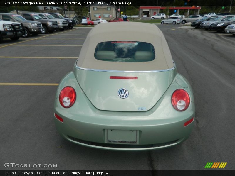 Gecko Green / Cream Beige 2008 Volkswagen New Beetle SE Convertible