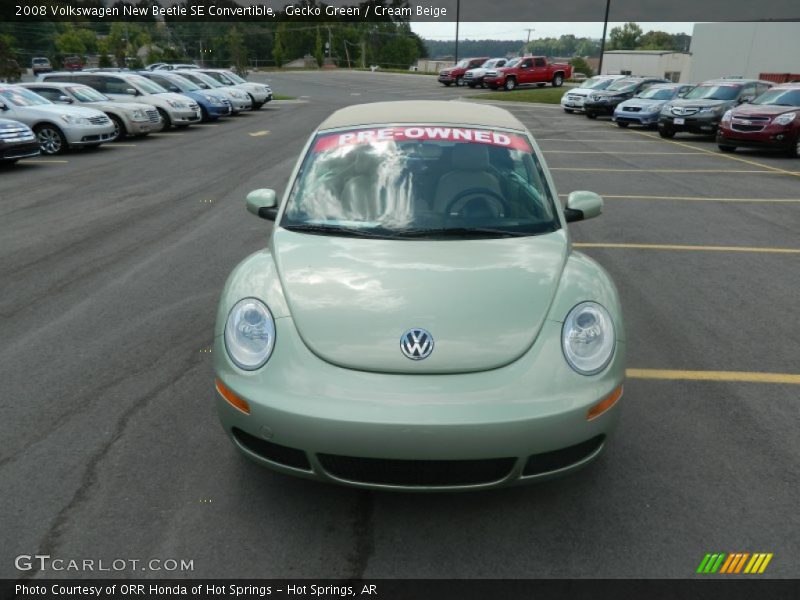 Gecko Green / Cream Beige 2008 Volkswagen New Beetle SE Convertible