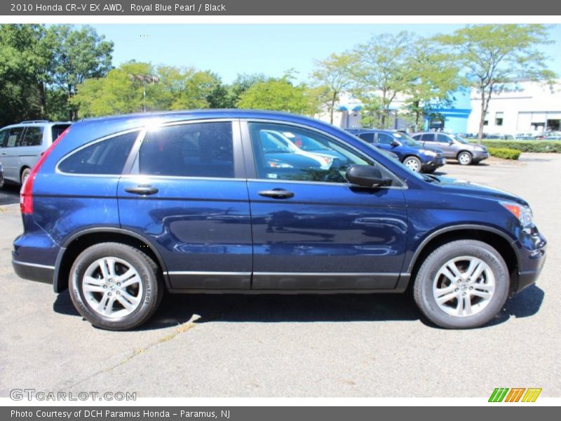 Royal Blue Pearl / Black 2010 Honda CR-V EX AWD