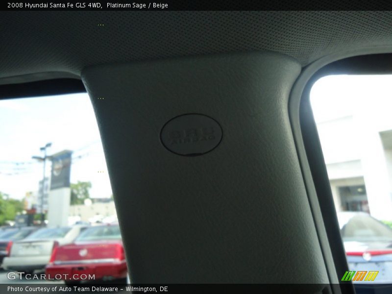 Platinum Sage / Beige 2008 Hyundai Santa Fe GLS 4WD