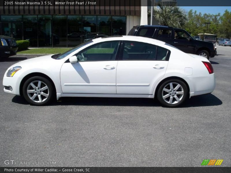 Winter Frost Pearl / Frost 2005 Nissan Maxima 3.5 SL