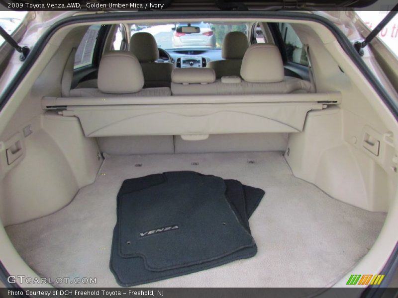 Golden Umber Mica / Ivory 2009 Toyota Venza AWD