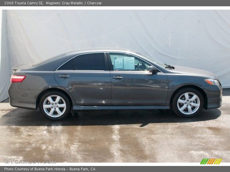 Magnetic Gray Metallic / Charcoal 2009 Toyota Camry SE