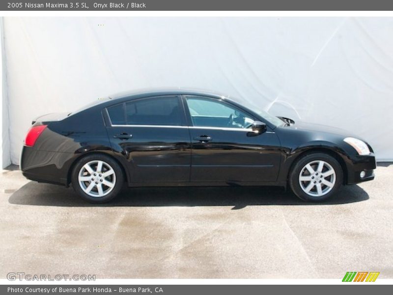 Onyx Black / Black 2005 Nissan Maxima 3.5 SL