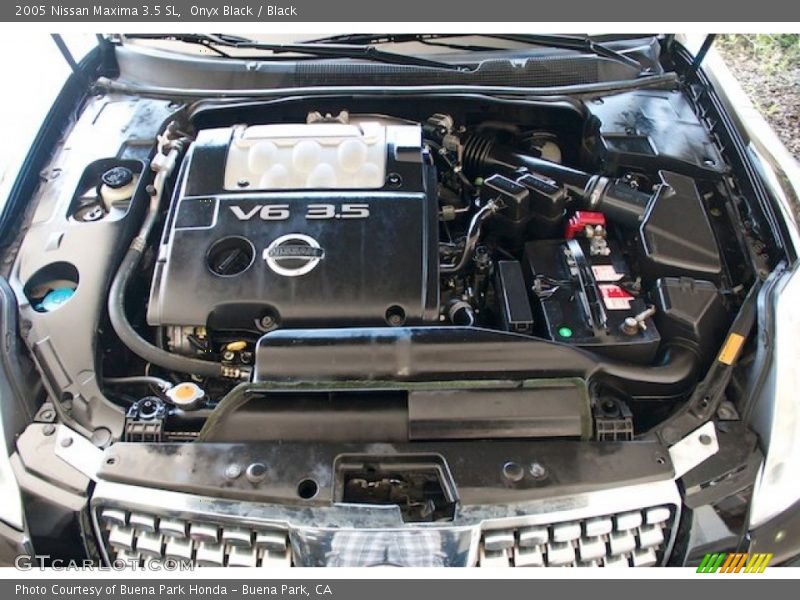 Onyx Black / Black 2005 Nissan Maxima 3.5 SL
