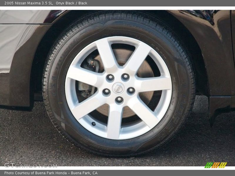 Onyx Black / Black 2005 Nissan Maxima 3.5 SL