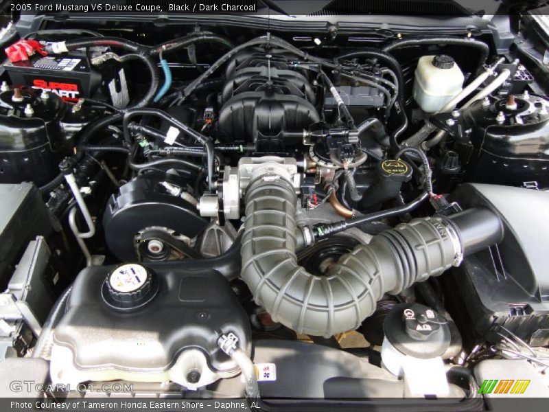 Black / Dark Charcoal 2005 Ford Mustang V6 Deluxe Coupe