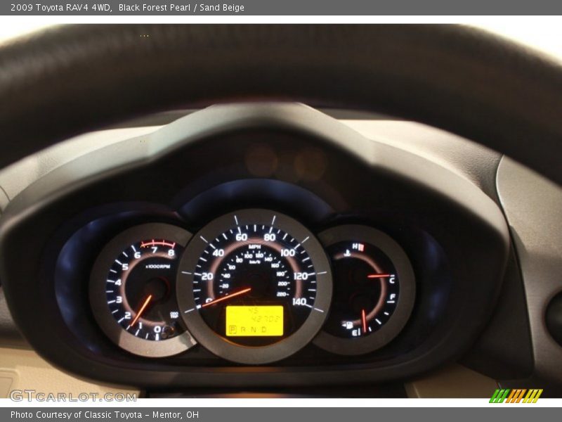 Black Forest Pearl / Sand Beige 2009 Toyota RAV4 4WD