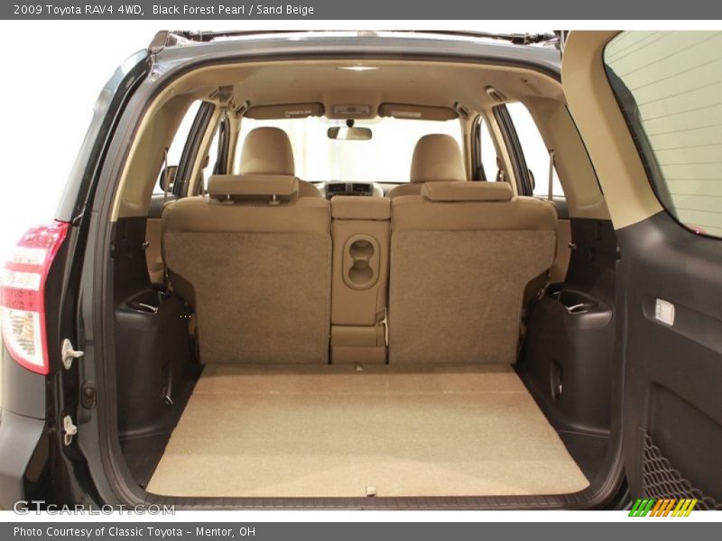 Black Forest Pearl / Sand Beige 2009 Toyota RAV4 4WD