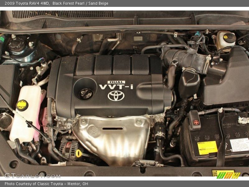 Black Forest Pearl / Sand Beige 2009 Toyota RAV4 4WD
