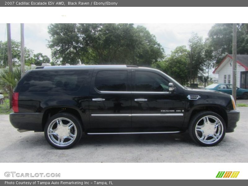 Black Raven / Ebony/Ebony 2007 Cadillac Escalade ESV AWD