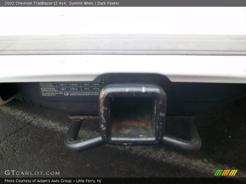 Summit White / Dark Pewter 2002 Chevrolet TrailBlazer LS 4x4